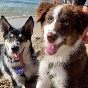 Meet your Posher, Haleigh